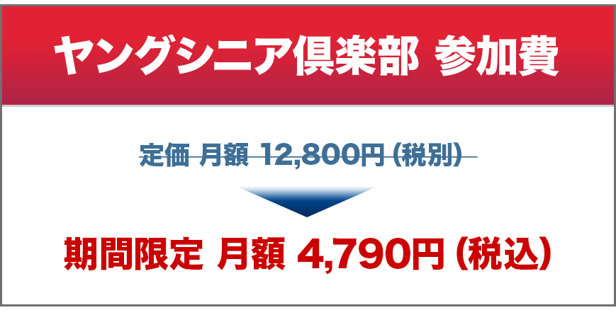 副業マニュアル 平秀信 ヤングシニア倶楽部 - ビジネス/経済